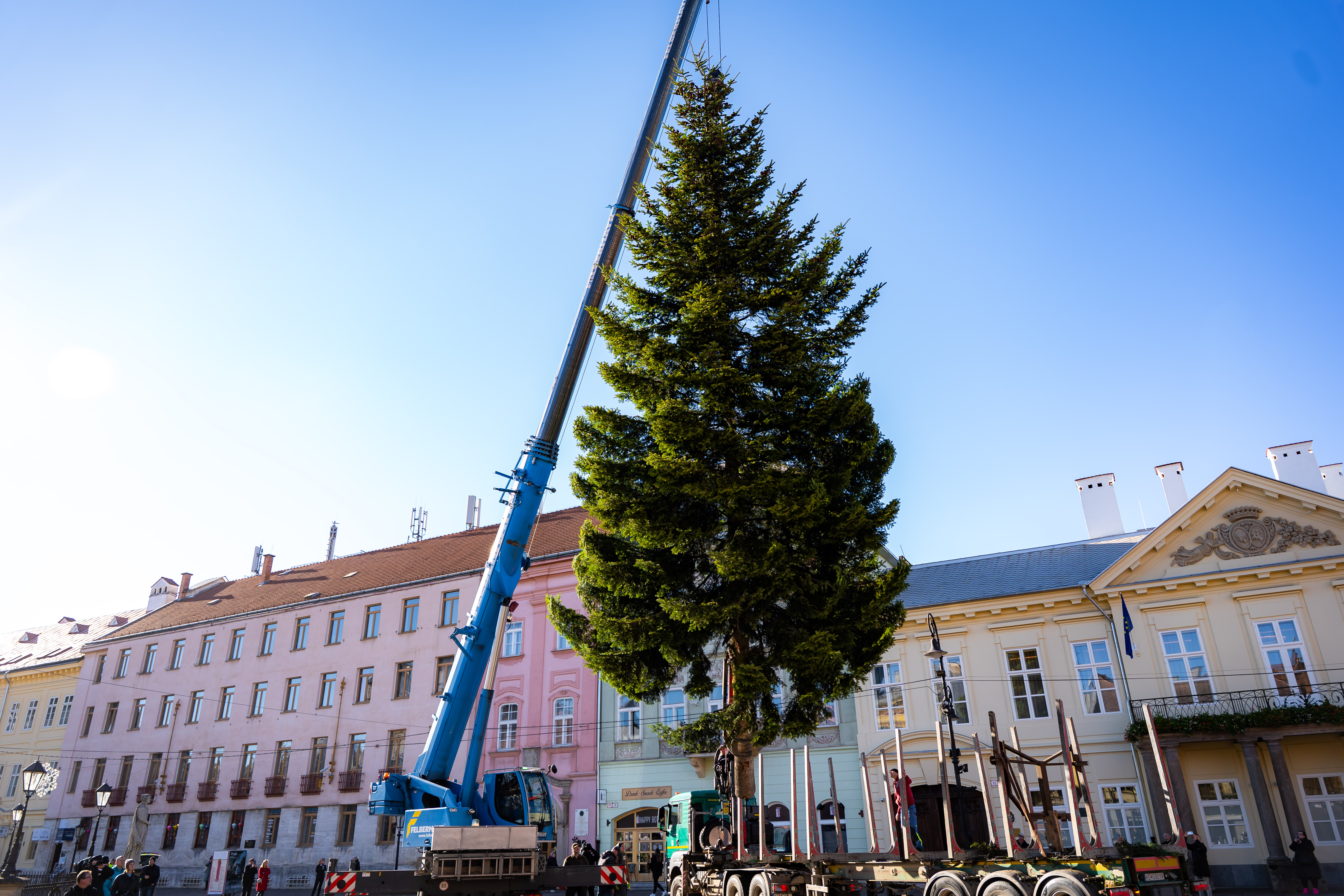 Umiestnovanie Vianocneho stromu-18